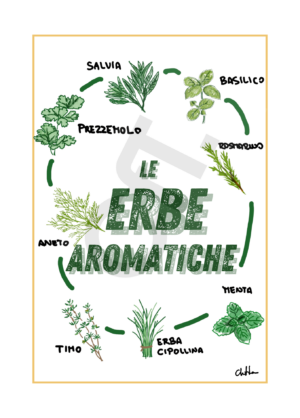 Erbe aromatiche